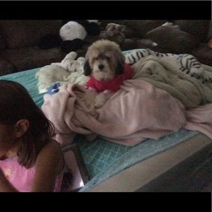 Meet your Posher, Yllana